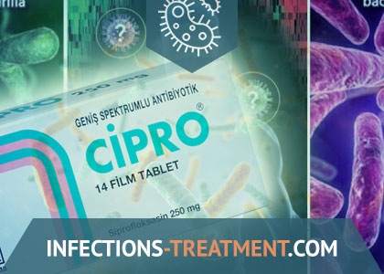 cipro online usa
